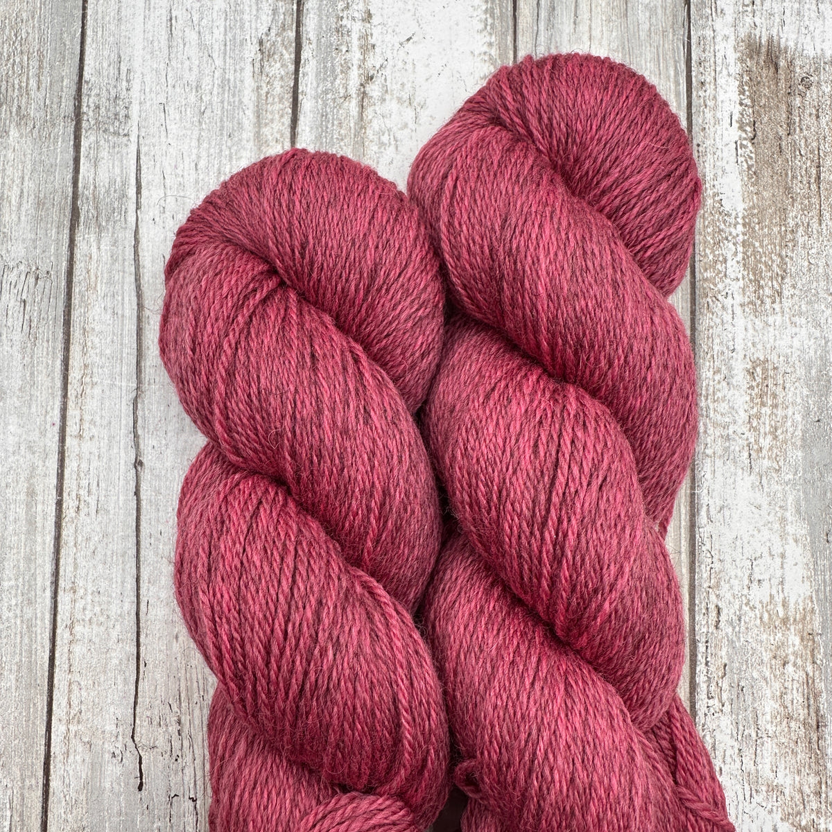 Campus Cardi by Aimee Sher