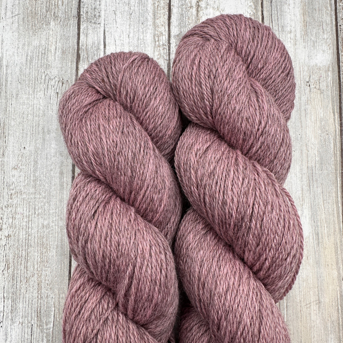 Campus Cardi by Aimee Sher