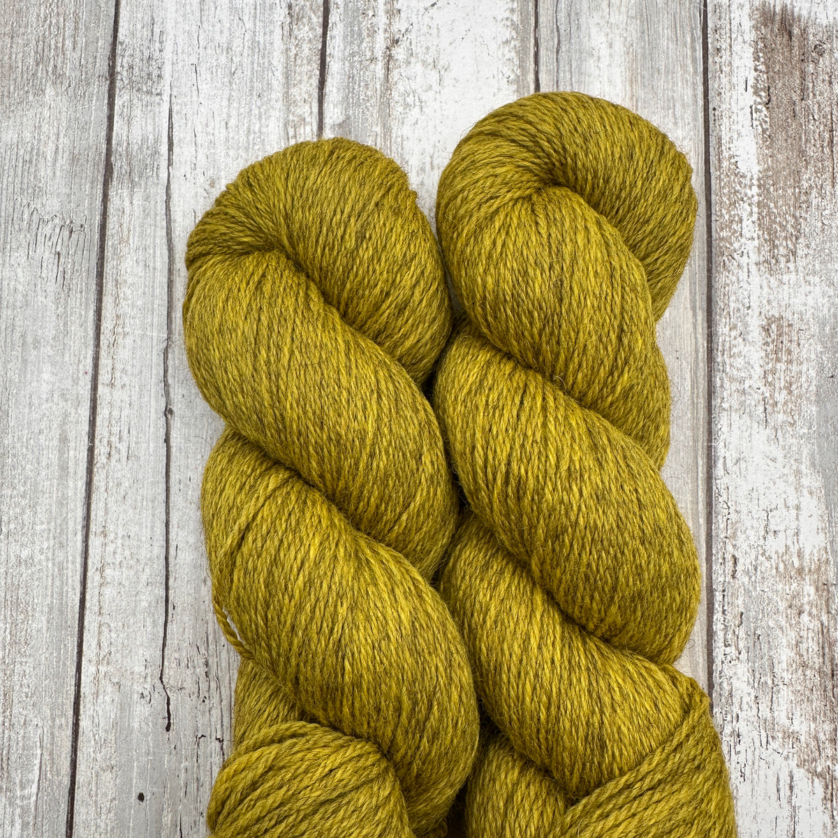 Campus Cardi by Aimee Sher