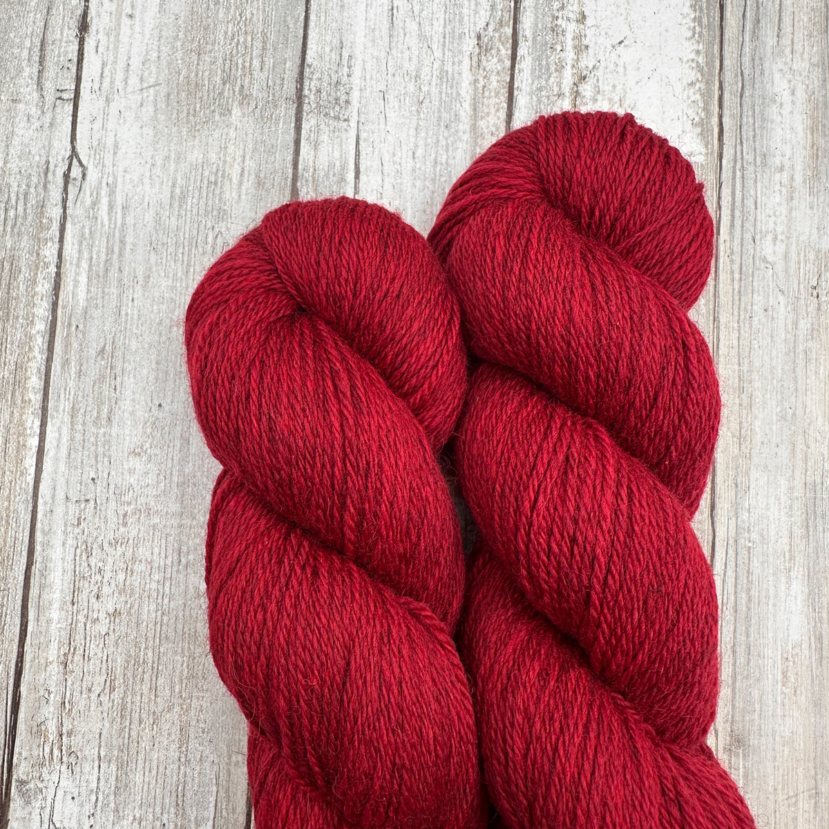Campus Cardi by Aimee Sher