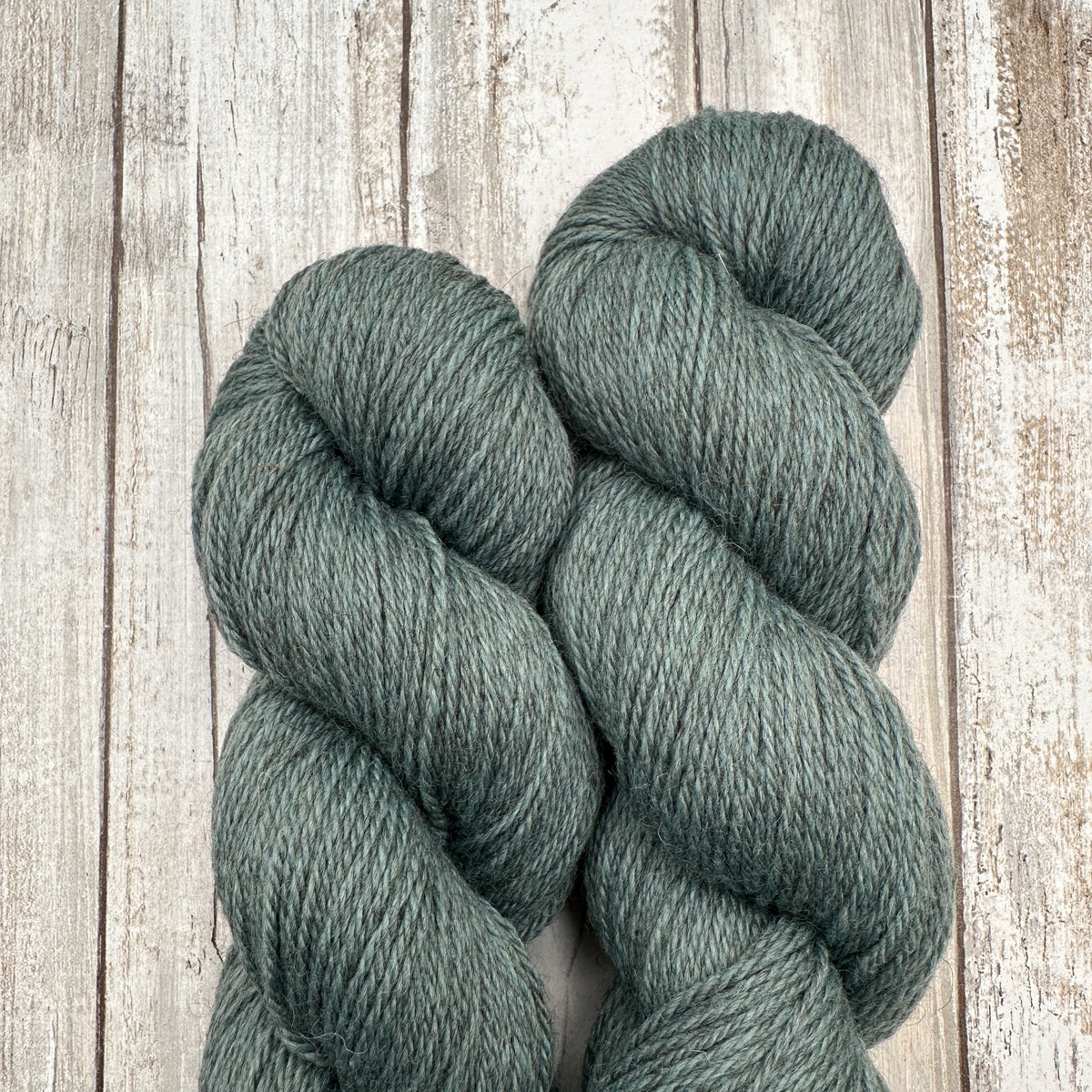 Campus Cardi by Aimee Sher